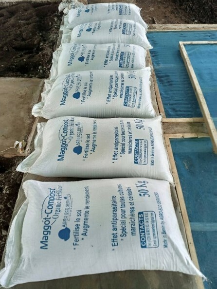 Maggot-compost de Agro-Eco Service